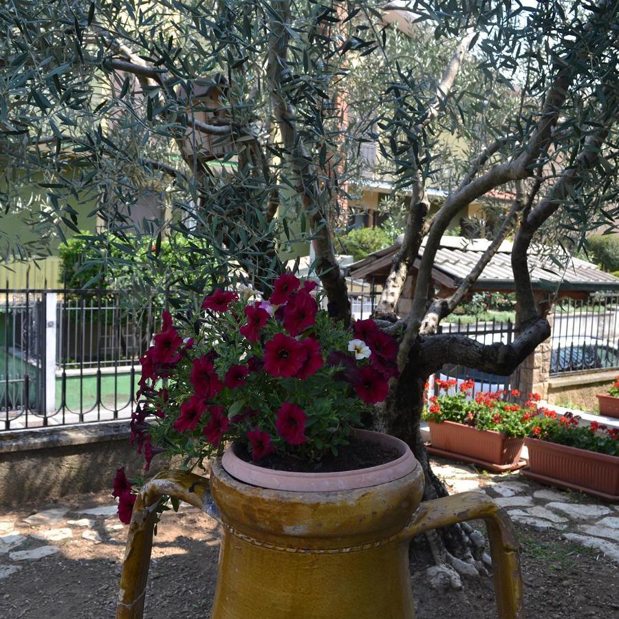 Riflessi D'Arte Bed and Breakfast Provaglio d'Iseo Exteriör bild