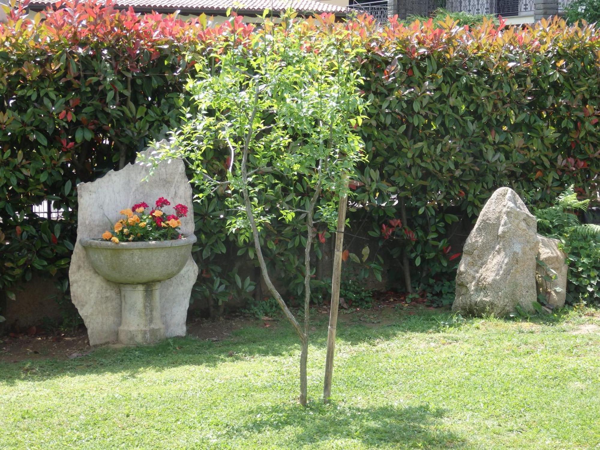 Riflessi D'Arte Bed and Breakfast Provaglio d'Iseo Exteriör bild